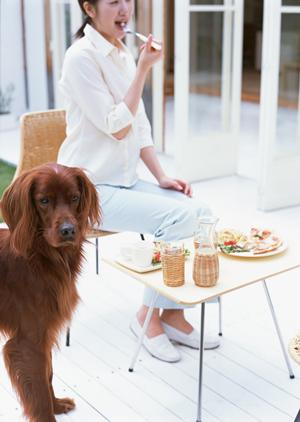 洋酒好きの方におすすめのネットショップです